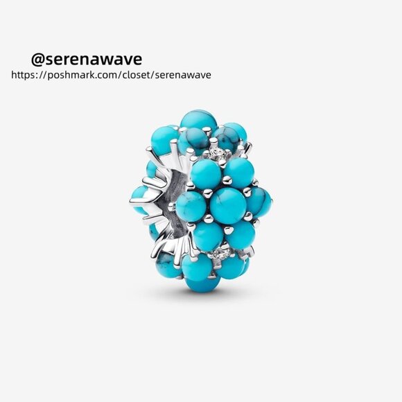 Pandora Turquoise-colored Ocean Charm|Pendant - Picture 1 of 5
